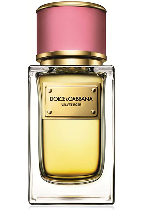 dolce and gabbana rose perfume|dolce and gabbana perfume price.